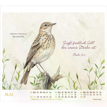 *Meisterwerke des Schöpfers, 2027, Tischkalender