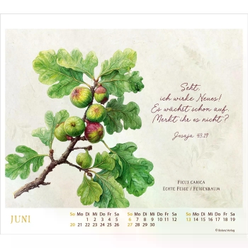 *Meisterwerke des Schöpfers, 2027, Tischkalender