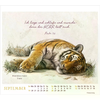 *Meisterwerke des Schöpfers, 2027, Tischkalender