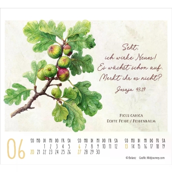 *Kunstwerke des Schöpfers, 2027, Minikalender