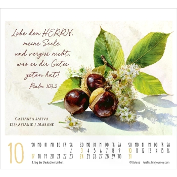 *Kunstwerke des Schöpfers, 2027, Minikalender
