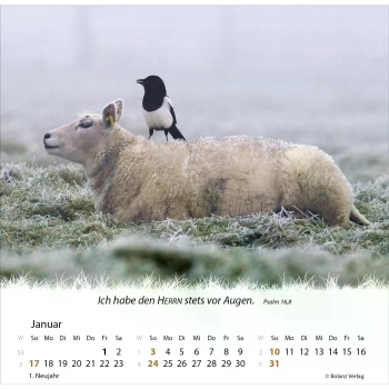 *Ein Leben für die Schafe, 2027
