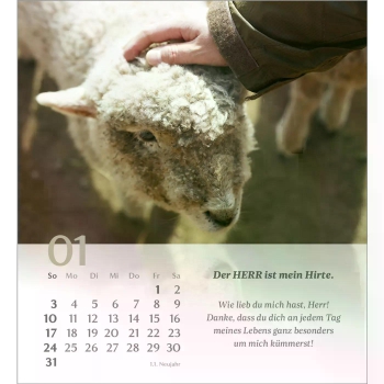 *Psalm 23, 2027