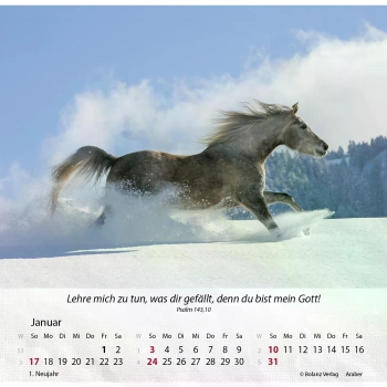 Pferdekalender 2027 mit eindrucksvollem Pferdefoto und Bibelvers