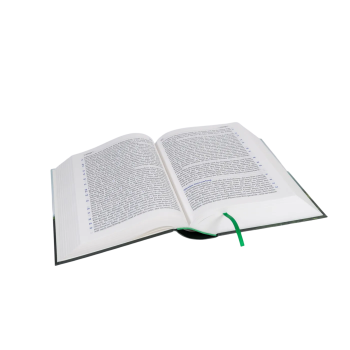 Preview: *Elberfelder Bibel in großer Schrift