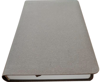 *Taschenbibel, Lederfaser, braun, 13 x 18,3 x 2,9 cm