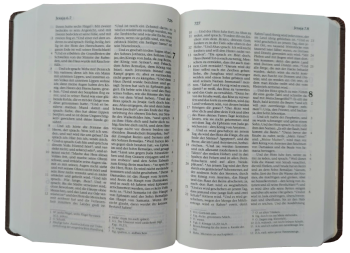 *Taschenbibel, Lederfaser, braun, 13 x 18,3 x 2,9 cm