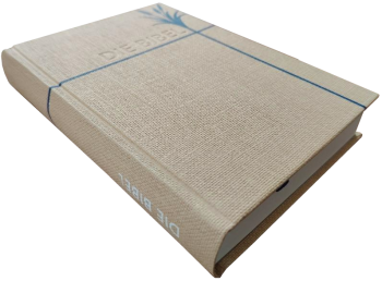 *Taschenbibel, Strukturpapier, natur, 13 x 18,3 x 2,9 cm