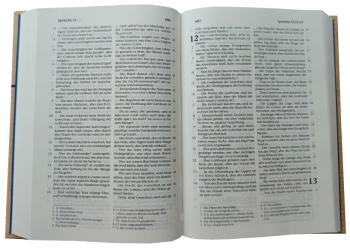 *Taschenbibel, Strukturpapier, natur, 13 x 18,3 x 2,9 cm