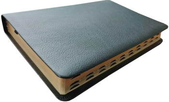 Standardbibel, Leder, schwarz, Goldschnitt mit Griffregister, 15,5 x 22,5 x 2,8 cm