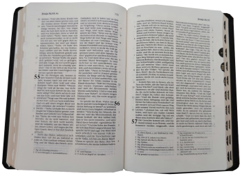 Standardbibel, Leder, schwarz, Goldschnitt mit Griffregister, 15,5 x 22,5 x 2,8 cm