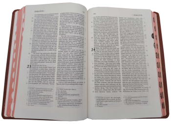 Standardbibel, Leder, hellbraun, Rotgoldschnitt, Griffregister, 15,2 x 22,5 x 3,0 cm