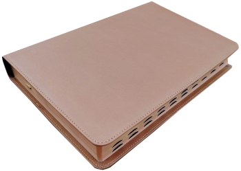 Standardbibel, Leder, hellbraun, Rotgoldschnitt, Griffregister, 15,2 x 22,5 x 3,0 cm