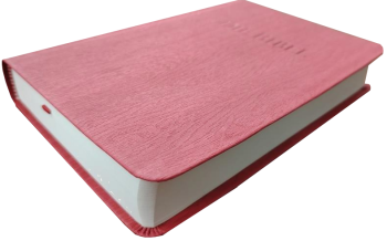 *Taschenbibel, Kunstleder, rot, 13 x 18,3 x 2,9 cm