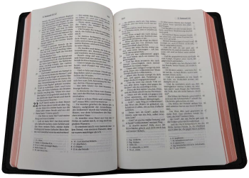 Standardbibel, Leder, schwarz, Rotgoldschnitt – Premium, 15,2 x 22,5 x 3,0 cm
