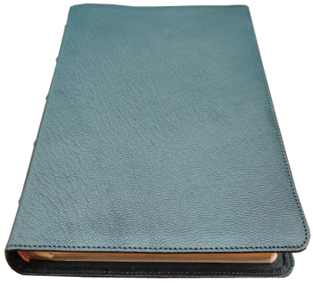 Standardbibel, Leder, schwarz, Rotgoldschnitt – Premium, 15,2 x 22,5 x 3,0 cm