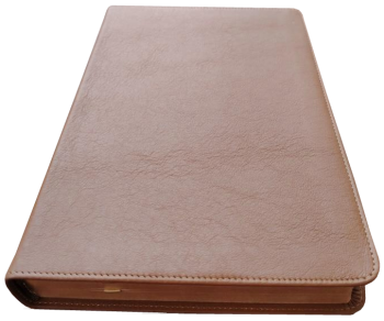 Standardbibel, Leder, hellbraun, Rotgoldschnitt, 15,2 x 22,5 x 3,0 cm