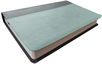 Standardbibel, Kunstleder, anthrazit/mint, 14,9 x 22,5 x 2,8 cm