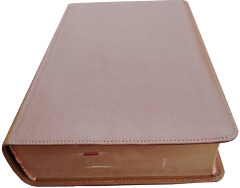 Standardbibel, Leder, hellbraun, Rotgoldschnitt mit Notizseiten, 15,7 x 23,0 x 5,5 cm