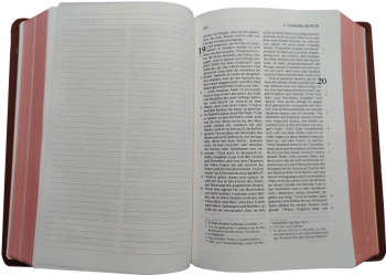 Standardbibel, Leder, hellbraun, Rotgoldschnitt mit Notizseiten, 15,7 x 23,0 x 5,5 cm