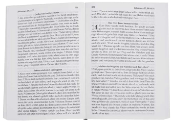 *Das Neue Testament mit Psalmen, Goldausgabe – ab 20 Stück, 10,0 x 14,0 x 1,7 cm