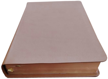 Schreibrandbibel, klein, Leder, hellbraun, Rotgoldschnitt