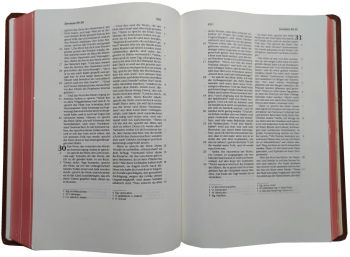 Schreibrandbibel, klein, Leder, hellbraun, Rotgoldschnitt