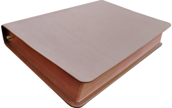 Schreibrandbibel, klein, Leder, hellbraun, Rotgoldschnitt