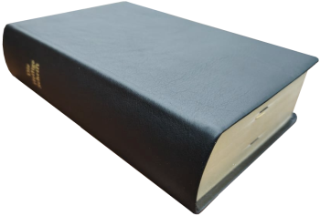 Standardbibel, Leder, schwarz, Goldschnitt mit Notizseiten, 15,7 x 23,0 x 5,5 cm