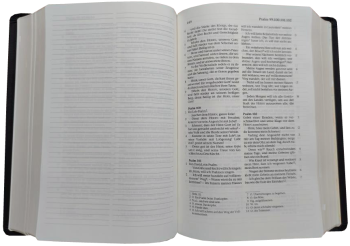 Standardbibel, Leder, schwarz, Goldschnitt mit Notizseiten, 15,7 x 23,0 x 5,5 cm