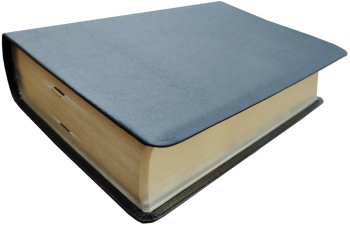 Standardbibel, Leder, schwarz, Goldschnitt mit Notizseiten, 15,7 x 23,0 x 5,5 cm