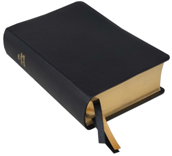 Standardbibel, Leder, schwarz, Goldschnitt mit Notizseiten