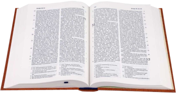 *Taschenbibel, Leinen, ocker, 13 x 18,3 x 2,9 cm