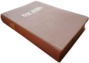 Taschenbibel, Rindleder hellbraun, Rotgoldschnitt, 13 x 18,3 x 2,9 cm