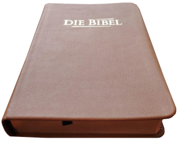 Taschenbibel, Rindleder hellbraun, Rotgoldschnitt, 13 x 18,3 x 2,9 cm