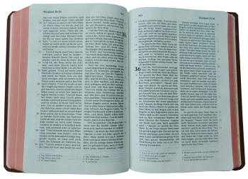 Taschenbibel, Rindleder hellbraun, Rotgoldschnitt, 13 x 18,3 x 2,9 cm