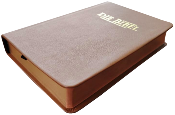 Taschenbibel, Rindleder hellbraun, Rotgoldschnitt, 13 x 18,3 x 2,9 cm