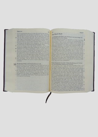 Lesebibel für Sehbehinderte, blau