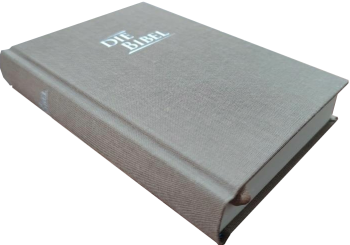 *Pocketbibel, Leinen, sandbraun, 9,5 x 14,0 x 2,3 cm