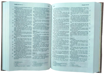 *Pocketbibel, Leinen, sandbraun – beschädigtes Exemplar