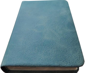 *Pocketbibel, Leder Olive, dunkelgrün, Goldschnitt,  9,5 x 14,0 x 2,3 cm