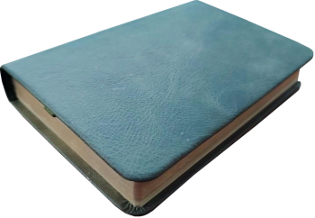 *Pocketbibel, Leder Olive, dunkelgrün, Goldschnitt,  9,5 x 14,0 x 2,3 cm