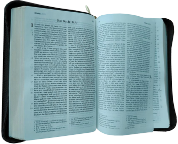 *Pocketbibel, Leder, braun/grau, Goldschnitt, Reißverschluss, 10,5 x 15,0 x 2,3 cm