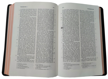 Standardbibel, Leder, dunkelbraun, Rotgoldschnitt, 14,9 x 22,5 x 2,8 cm