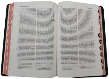 Standardbibel, Leder, dunkelbraun mit Griffregister, 14,9 x 22,5 x 2,8 cm