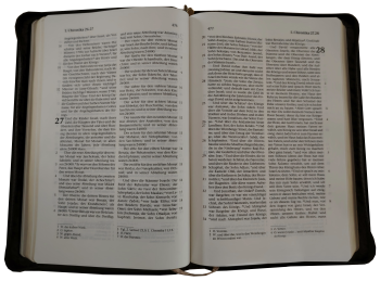 Standardbibel, Reißverschluss, Goldschnitt, braun-grau, 15,0 x 22,5 x 2,8 cm