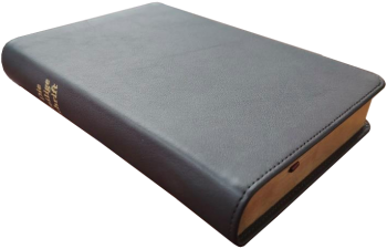 Taschenbibel, Leder, dunkelbraun, Goldschnitt, 13 x 18,3 x 2,9 cm