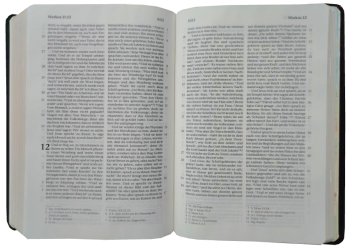 Taschenbibel, Leder, dunkelbraun, Goldschnitt, 13 x 18,3 x 2,9 cm