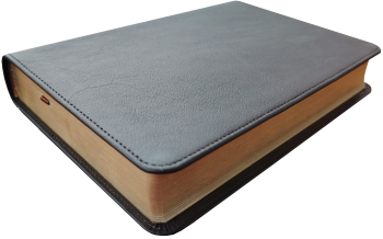 Taschenbibel, Leder, dunkelbraun, Goldschnitt, 13 x 18,3 x 2,9 cm