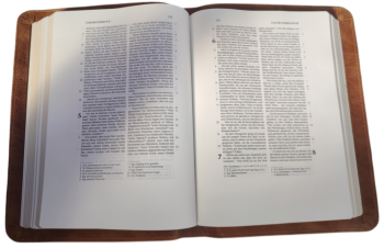 Preview: *Schreibrandbibel, klein, Leder, braun „Toffee“, Goldschnitt